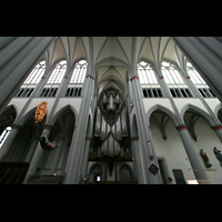 Altenberg, Dom, Querhaus mit Orgel