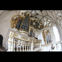 Merseburg, Dom St. Johannes und St. Laurentius, Orgel von der Empore aus seitlich gesehen