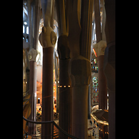 Barcelona, La Sagrada Familia, Blick vom Triforium auf die sich baumkronenfrmig aufspaltenden Sulen