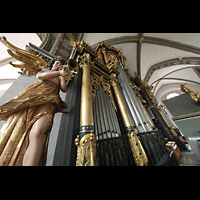 Wolfenbttel, Hauptkirche Beatae Mariae Virginis, Posaunenengel an der linken Prospektseite mit Blick auf die Orgel