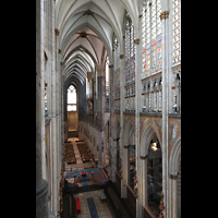 Kln (Cologne), Dom St. Peter und Maria, Langhaus mit 22 m hohem Westfenster und Langhausorgel