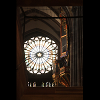 Strasbourg (Straburg), Cathdrale Notre-Dame, Blick von der Krypta zur Silbermann-Orgel und groen Rosette