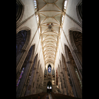 Ulm, Mnster, Hauptschiff mit Gewlbe und Orgel