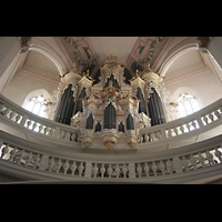 Naumburg, Stadtkirche St. Wenzel, Orgel