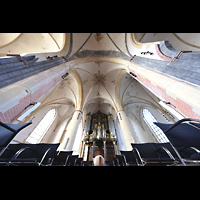 Groningen, Martinikerk, Blick ins Gewlbe und zur groen Orgel